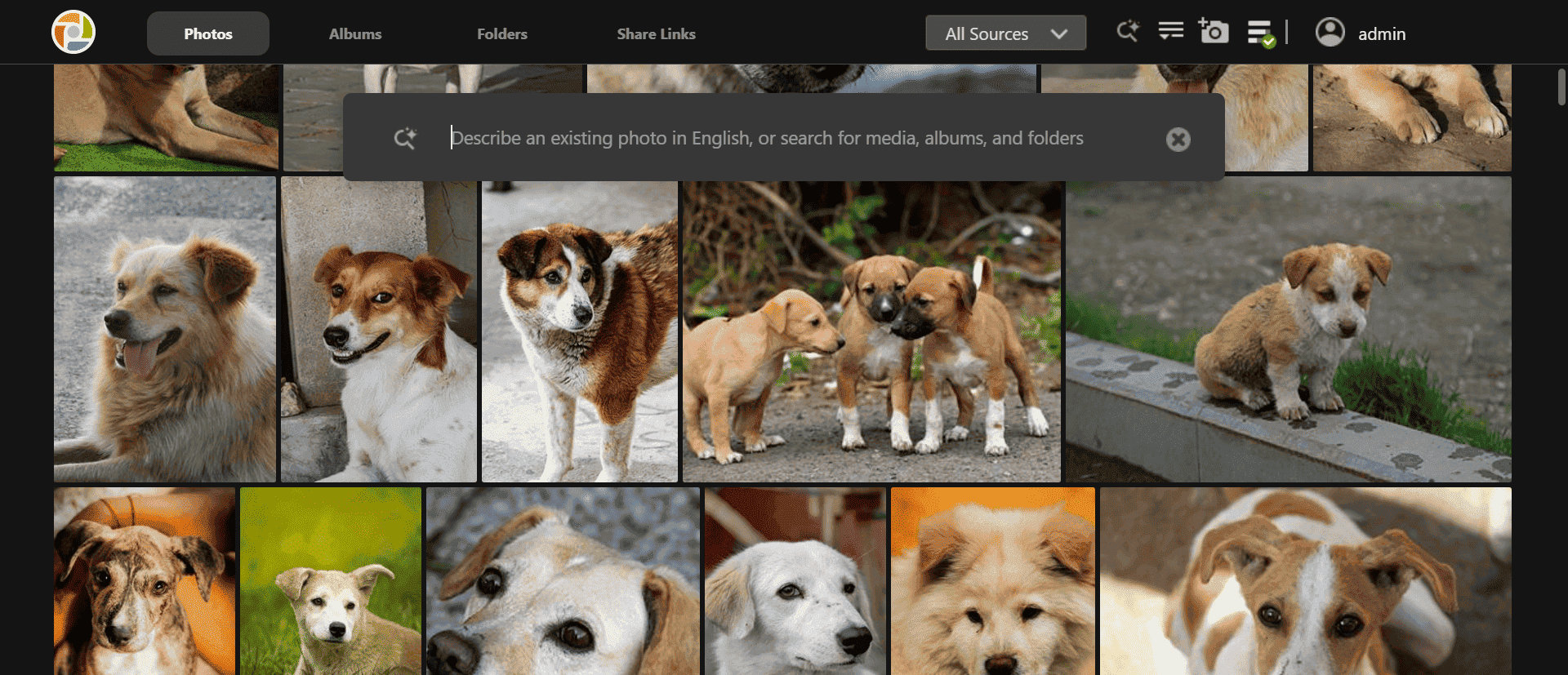 Photo Gallery AI II